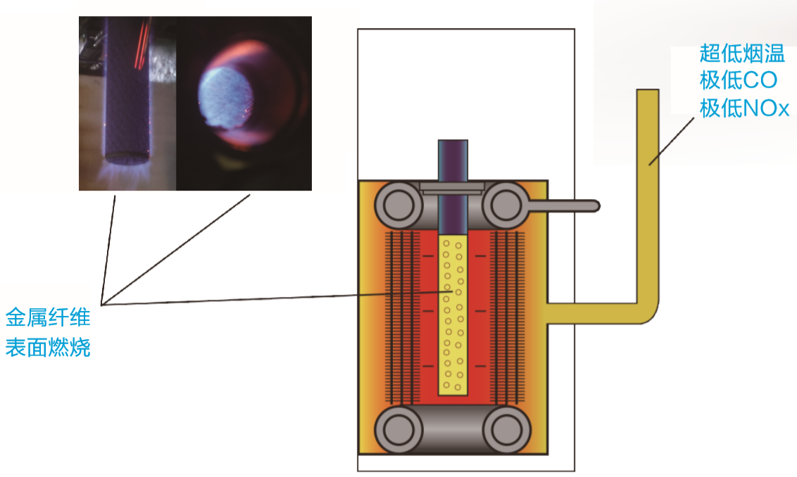 葆蓝低氮纯铜冷凝锅炉案例